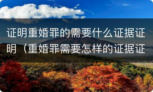 证明重婚罪的需要什么证据证明（重婚罪需要怎样的证据证明）