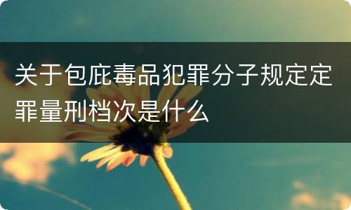 关于包庇毒品犯罪分子规定定罪量刑档次是什么