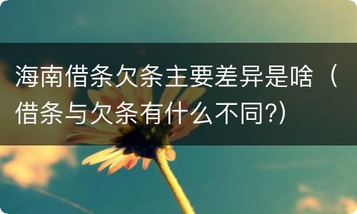 海南借条欠条主要差异是啥（借条与欠条有什么不同?）
