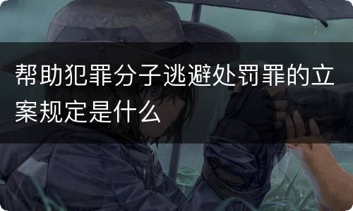 帮助犯罪分子逃避处罚罪的立案规定是什么