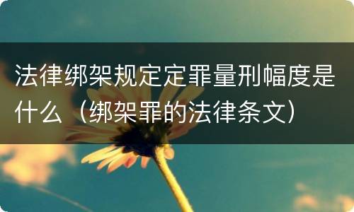 法律绑架规定定罪量刑幅度是什么（绑架罪的法律条文）