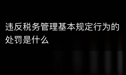 违反税务管理基本规定行为的处罚是什么