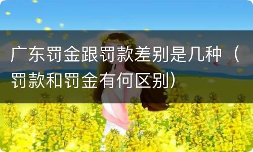 广东罚金跟罚款差别是几种（罚款和罚金有何区别）