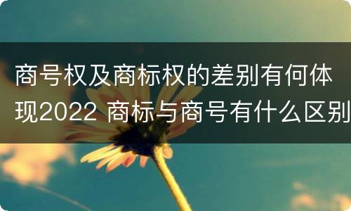 商号权及商标权的差别有何体现2022 商标与商号有什么区别