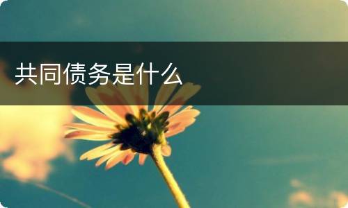 共同债务是什么
