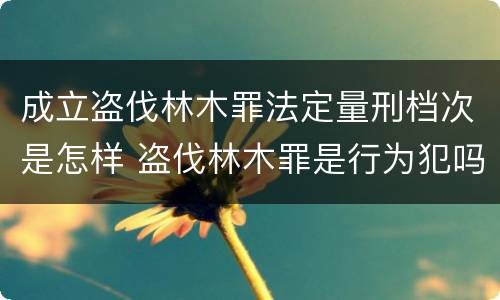 成立盗伐林木罪法定量刑档次是怎样 盗伐林木罪是行为犯吗