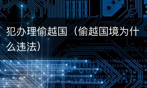 犯办理偷越国（偷越国境为什么违法）
