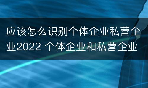 应该怎么识别个体企业私营企业2022 个体企业和私营企业