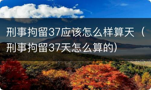 刑事拘留37应该怎么样算天（刑事拘留37天怎么算的）