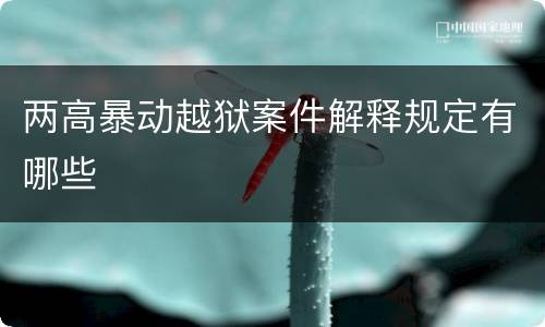 两高暴动越狱案件解释规定有哪些