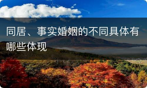 同居、事实婚姻的不同具体有哪些体现
