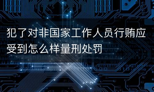 犯了对非国家工作人员行贿应受到怎么样量刑处罚