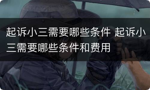 起诉小三需要哪些条件 起诉小三需要哪些条件和费用