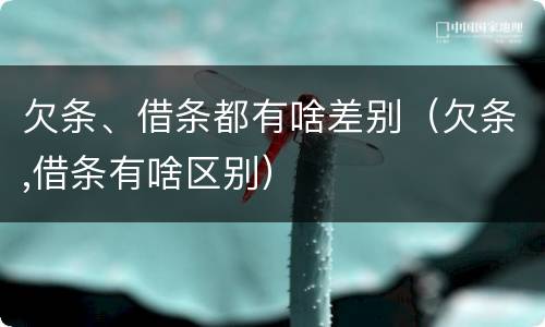 欠条、借条都有啥差别（欠条,借条有啥区别）