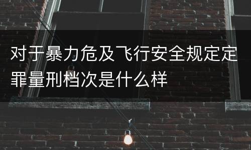 对于暴力危及飞行安全规定定罪量刑档次是什么样