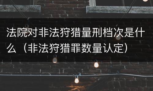 法院对非法狩猎量刑档次是什么（非法狩猎罪数量认定）