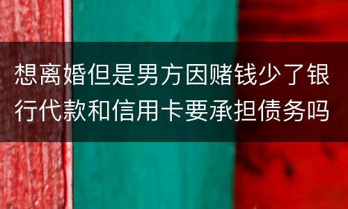 想离婚但是男方因赌钱少了银行代款和信用卡要承担债务吗