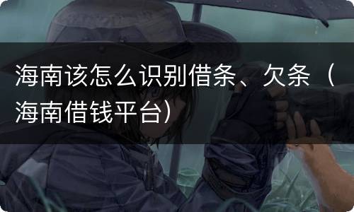 海南该怎么识别借条、欠条（海南借钱平台）