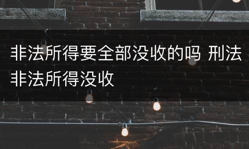 非法所得要全部没收的吗 刑法非法所得没收