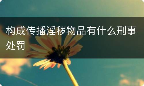 构成传播淫秽物品有什么刑事处罚