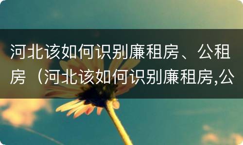 河北该如何识别廉租房、公租房（河北该如何识别廉租房,公租房的标准）