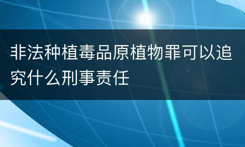 非法种植毒品原植物罪可以追究什么刑事责任