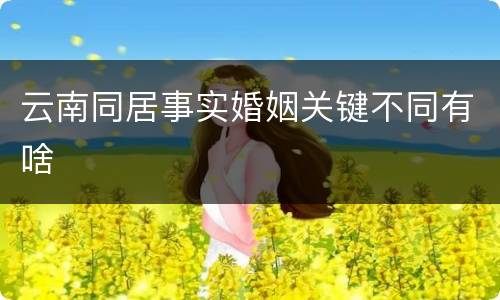 云南同居事实婚姻关键不同有啥