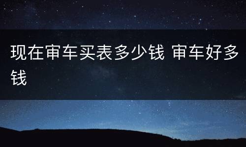 现在审车买表多少钱 审车好多钱