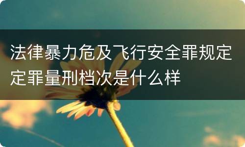 法律暴力危及飞行安全罪规定定罪量刑档次是什么样