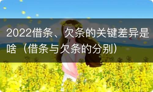 2022借条、欠条的关键差异是啥（借条与欠条的分别）