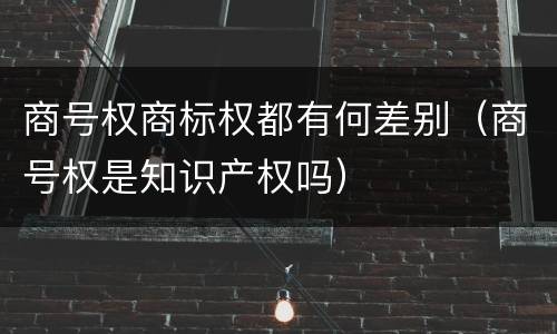 商号权商标权都有何差别（商号权是知识产权吗）