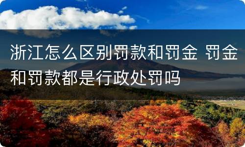 浙江怎么区别罚款和罚金 罚金和罚款都是行政处罚吗