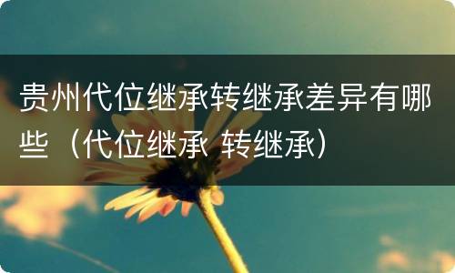 贵州代位继承转继承差异有哪些（代位继承 转继承）