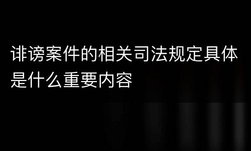 诽谤案件的相关司法规定具体是什么重要内容