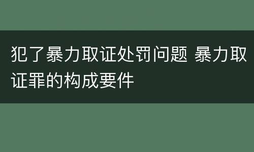 犯了暴力取证处罚问题 暴力取证罪的构成要件