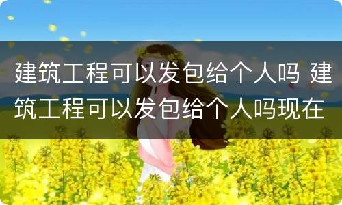 建筑工程可以发包给个人吗 建筑工程可以发包给个人吗现在