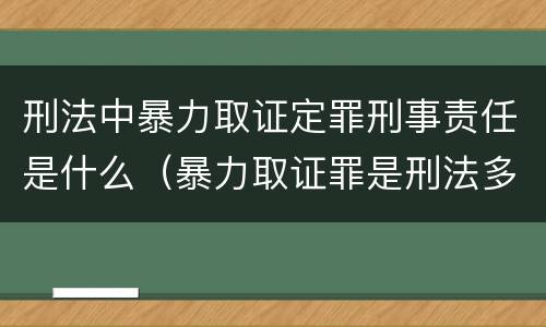 刑法中暴力取证定罪刑事责任是什么（暴力取证罪是刑法多少条）