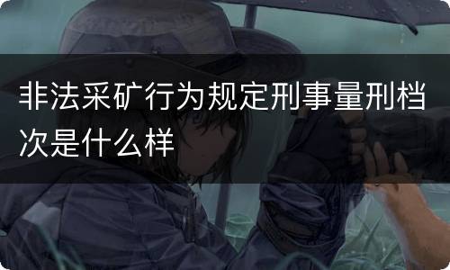 非法采矿行为规定刑事量刑档次是什么样