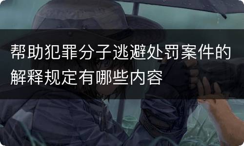 帮助犯罪分子逃避处罚案件的解释规定有哪些内容