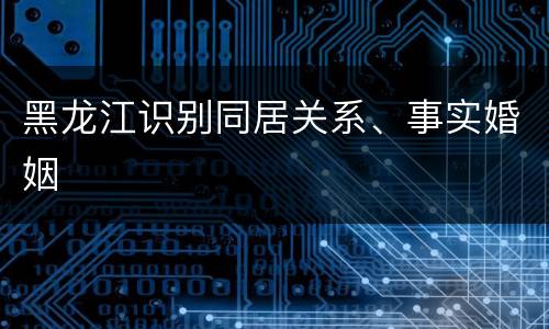 黑龙江识别同居关系、事实婚姻