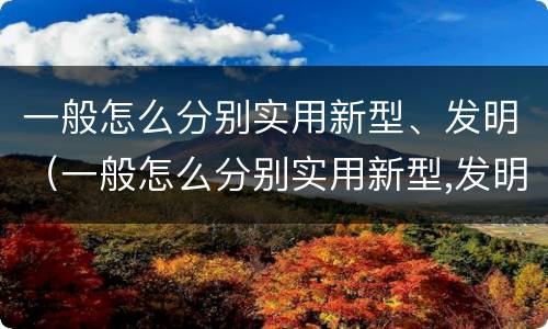一般怎么分别实用新型、发明（一般怎么分别实用新型,发明了）