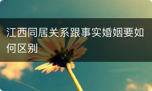 江西同居关系跟事实婚姻要如何区别