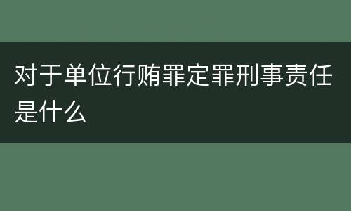 对于单位行贿罪定罪刑事责任是什么