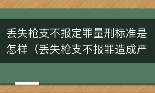 丢失枪支不报定罪量刑标准是怎样（丢失枪支不报罪造成严重后果）