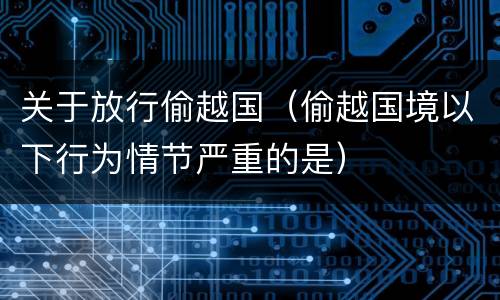 关于放行偷越国（偷越国境以下行为情节严重的是）