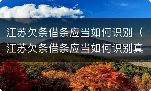 江苏欠条借条应当如何识别（江苏欠条借条应当如何识别真伪）