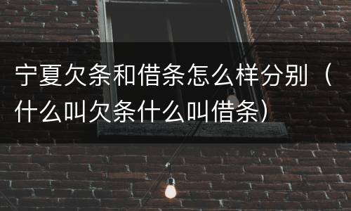 宁夏欠条和借条怎么样分别（什么叫欠条什么叫借条）
