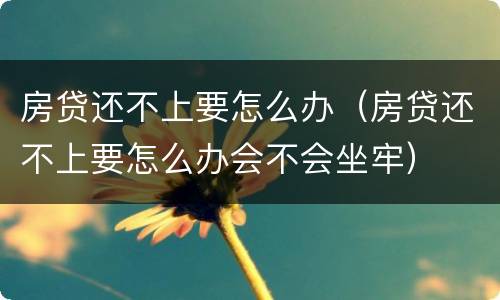 房贷还不上要怎么办（房贷还不上要怎么办会不会坐牢）