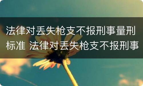 法律对丢失枪支不报刑事量刑标准 法律对丢失枪支不报刑事量刑标准的处罚