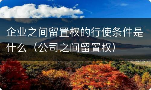 企业之间留置权的行使条件是什么（公司之间留置权）